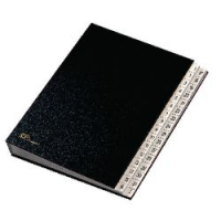 1-31 CLASSIFICATORE NUMERICO NO