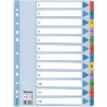 SEPARATORI A4 ESSELTE MYLAR 1-12 MULTI
