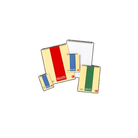 BLOCCHI SPIRAL PIGNASTYL QUADR A6 10 PZ