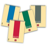 BLOCCHI SPIRAL PIGNASTYL QUADR A5 10 PZ