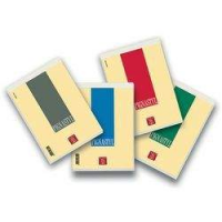 BLOCCHI PIGNASTYL RIGHE A4 10PZ