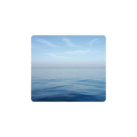 MOUSE PAD FELLOW 5903901 H