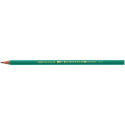 CF12 MATITE CONTE BIC EVOLUTION HB