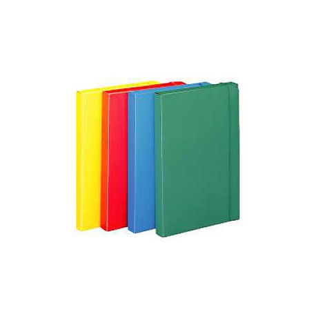 SCATOLA PROGETTO 3 CON ELAS.FELLOWES AO