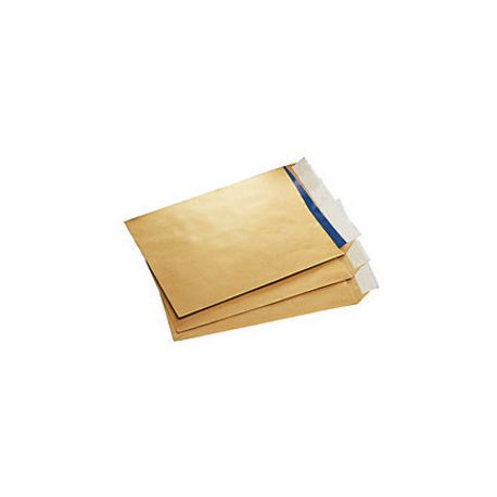 SACC AVANA S/GOM 23X33CM 100G 500PZ