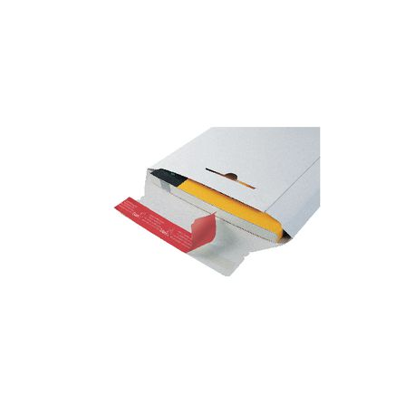 CF20 BUSTE A SACCO IN CART RIGIDO C4