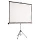 SCHERMO CON TREPPIEDE NOBO 175X132,5