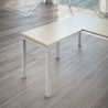 Allun Scrivania Rett+G Quadra 80X60 Acero