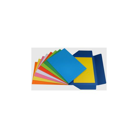 CF 25 CART 3 LEMBI CICLAMINO NDY BRISTOL