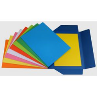 CF25 CART 3 LEMBI COL ASS NDY BRISTOL