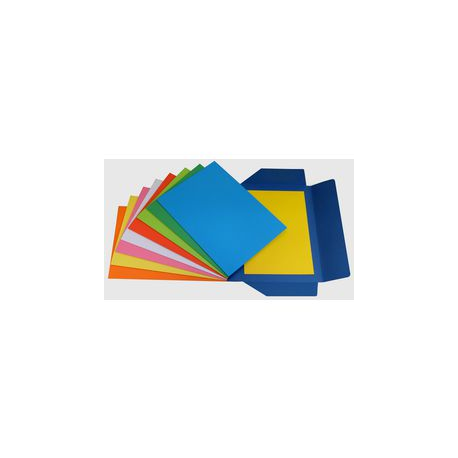 CF25 CART 3 LEMBI COL ASS NDY BRISTOL