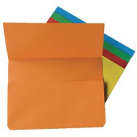 CF10 CARTELLINA CON TASCA RO FRASC