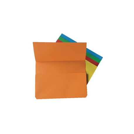CF10 CARTELLINA CON TASCA AO FRASC