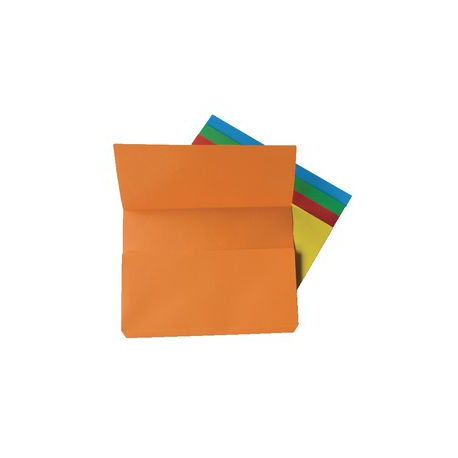 CF10 CARTELLINA A BUSTA VERDE FRASCHINI