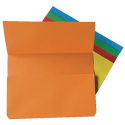 CF10 CARTELLINA CON TASCA ASS FRAS