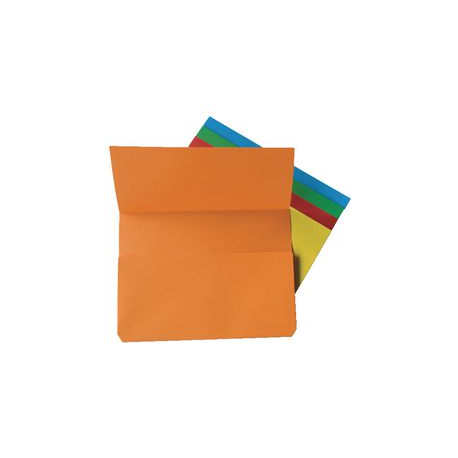 CF10 CARTELLINA A BUSTA COL ASSORTITI FRASCHINI