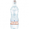 CF 6 BOTTIGLIE PET ACQUA PANNA 75CL