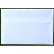 CF25 BUSTE BO 80GR CSTRIP SF 12X18