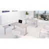 SCRIVANIA ROVERE  CANALET.GAMBA T 140X82