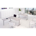SCRIVANIA ROVERE CANALET.GAMBA T 120X82