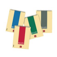 BLOCCHI SPIRAL PIGNASTYL QUADR A4 10 PZ