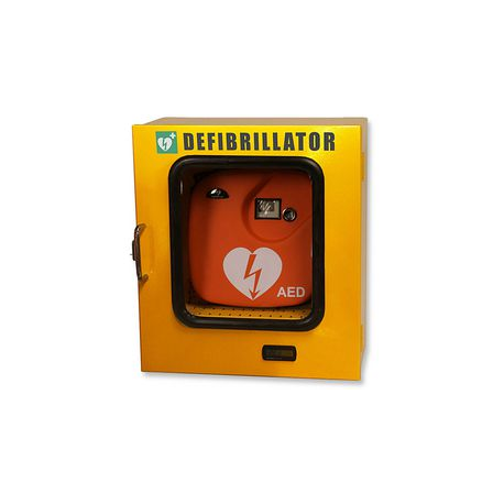 TECA ESTERNO DEFIBR. TERMOREG. E ALLARDL