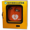 TECA ESTERNO DEFIBR. TERMOREG. E ALLARDL