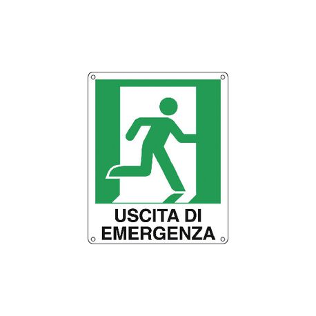CART.ALLUM USCITA DI EMERG DX 25X31CM