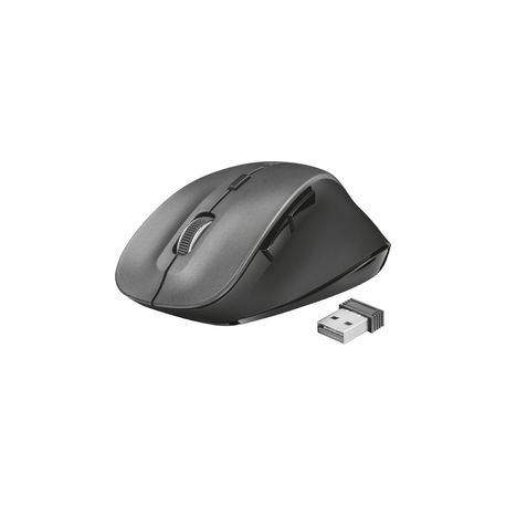 MOUSE WIRELESS RAVAN TRUST