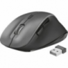 MOUSE WIRELESS RAVAN TRUST