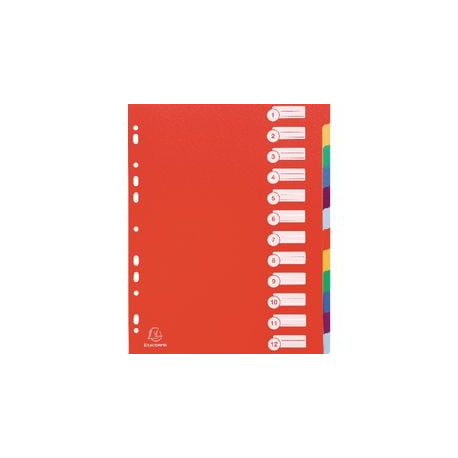 DIVISORI PPL 12 TASTI A4 MAXI 30 100 ASS