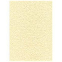 CARTA A TEMA PERGAMENA CHAMPAGNE STAMPA LASER E INKJET DECADRY CORPORATE A4 165G 50FF