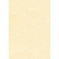 CARTA A TEMA PERGAMENA CHAMPAGNE STAMPA LASER E INKJET DECADRY CORPORATE A4 95G 100FF