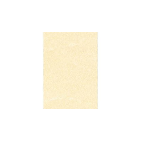 CARTA A TEMA PERGAMENA CHAMPAGNE STAMPA LASER E INKJET DECADRY CORPORATE A4 95G 100FF