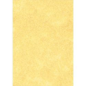 CARTA A TEMA PERGAMENA ORO STAMPA LASER E INKJET DECADRY CORPORATE A4 95G 100FF