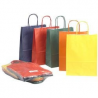 CF25 BUSTE SHOP ASS INVERNO 26X34.5X11CM