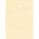 CARTA A TEMA PERGAMENA CHANPAGNE STAMPA LASER E INKJET DECADRY CORPORATE A3 165G 25FF
