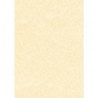 CARTA A TEMA PERGAMENA CHANPAGNE STAMPA LASER E INKJET DECADRY CORPORATE A3 165G 25FF