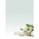 CARTA A TEMA ROSA BIANCA STAMPA LASER E INKJET DECADRY STAR A4 90G 20FF