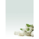 CARTA A TEMA ROSA BIANCA STAMPA LASER E INKJET DECADRY STAR A4 90G 20FF