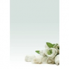 CARTA A TEMA ROSA BIANCA STAMPA LASER E INKJET DECADRY STAR A4 90G 20FF
