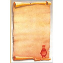 CARTA A TEMA PERGAMENA STAMPA LASER E INKJET CLASSIC DECADRY STAR A4 90G 20FF