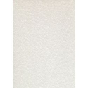 CARTA A TEMA PERGAMENA GRIGIA STAMPA LASER E INKJET DECADRY CORPORATE A4 95G 100FF