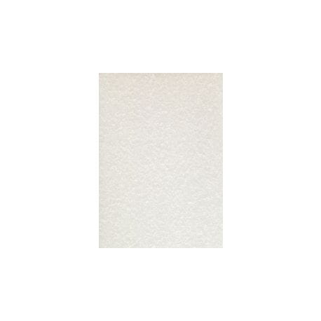 CARTA A TEMA PERGAMENA GRIGIA STAMPA LASER E INKJET DECADRY CORPORATE A4 95G 100FF