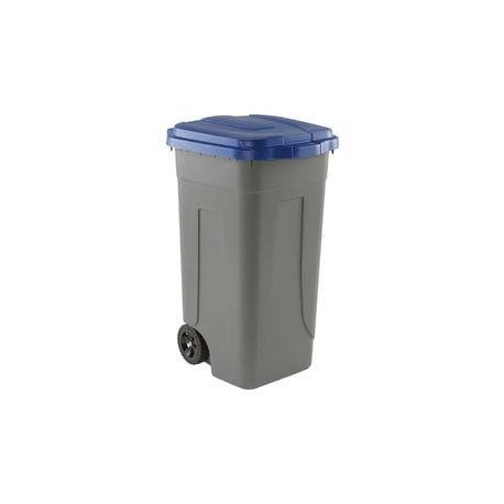 BIDONE GRIGIO 100L RACC. DIFF. COPERCHIO BLU DL