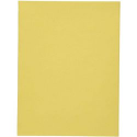 CF 100 CART SEMPLICI GIALLO EXACOM 170 GR