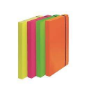 CF4 SCATOLA PROGETTO FLUO COL ASS