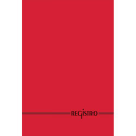 REGISTRO A4 100FF RIGHE 60GR BM