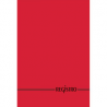 REGISTRO A4 100FF RIGHE 60GR BM